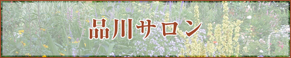 品川サロン